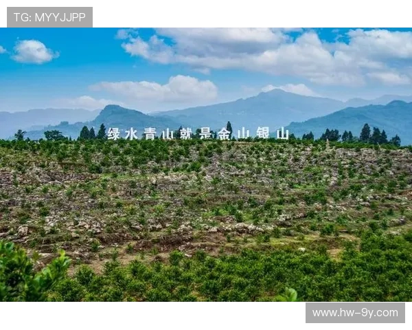 林周堆龙球队勇夺桂冠引领高原足球事业腾飞开启乡村振兴的新篇章